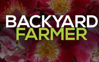 Watch, Learn, and Grow: Using Backyard Farmer to Grow Knowledge and Gardens