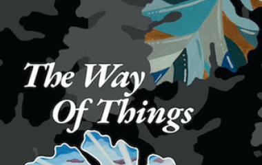 The Way of Things, Poetry by Shannon Vesely, published by Rogue Faculty Press